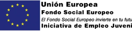 Banner Fondo Social Europeo